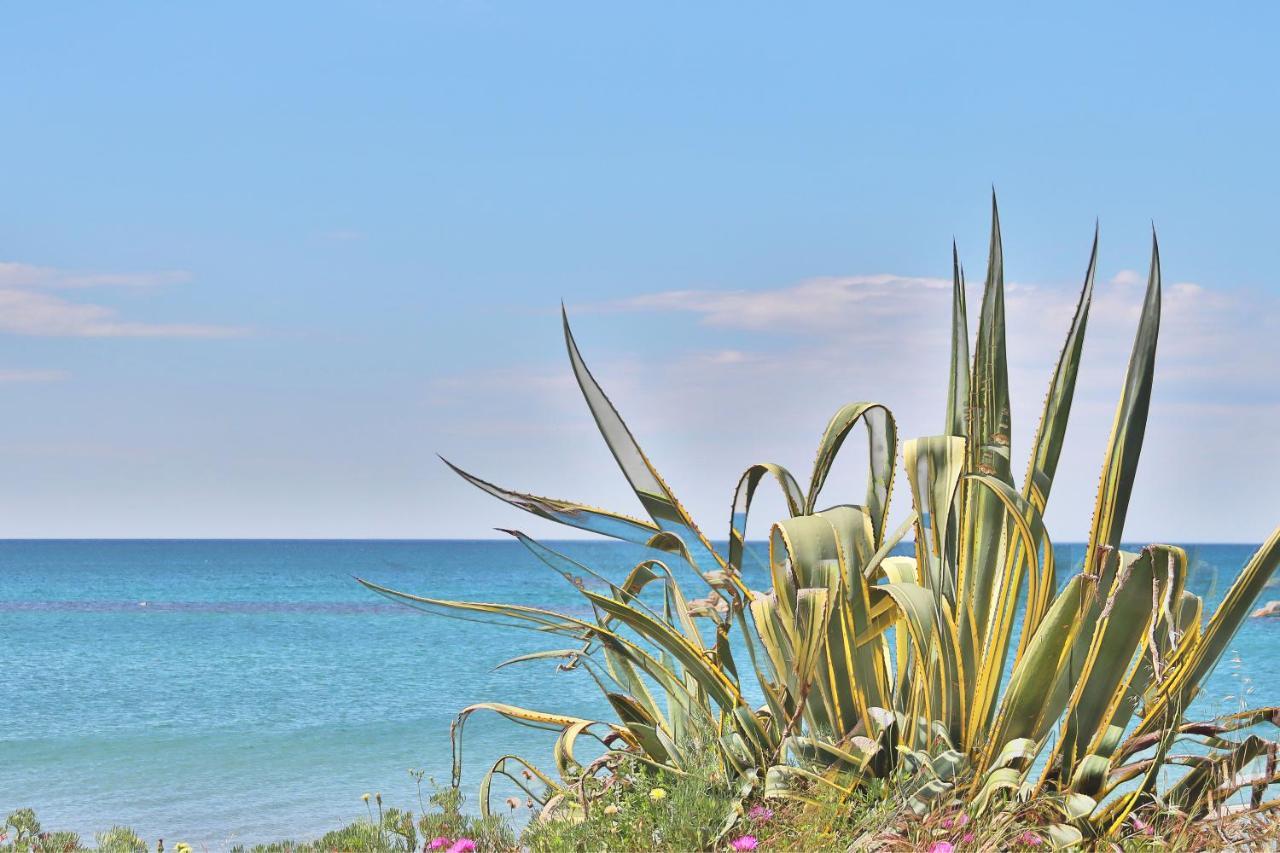 Holiday Home Arzilli Follonica Buitenkant foto